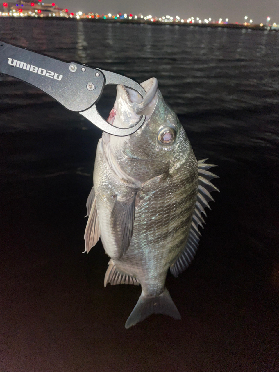 DAIWA 21ラブラックス AGS 100MLの最安値・インプレ・釣果