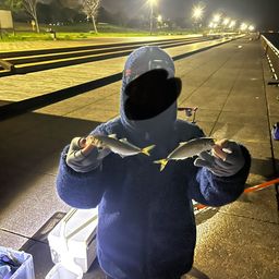 アジ