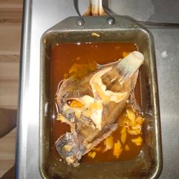 カレイ
