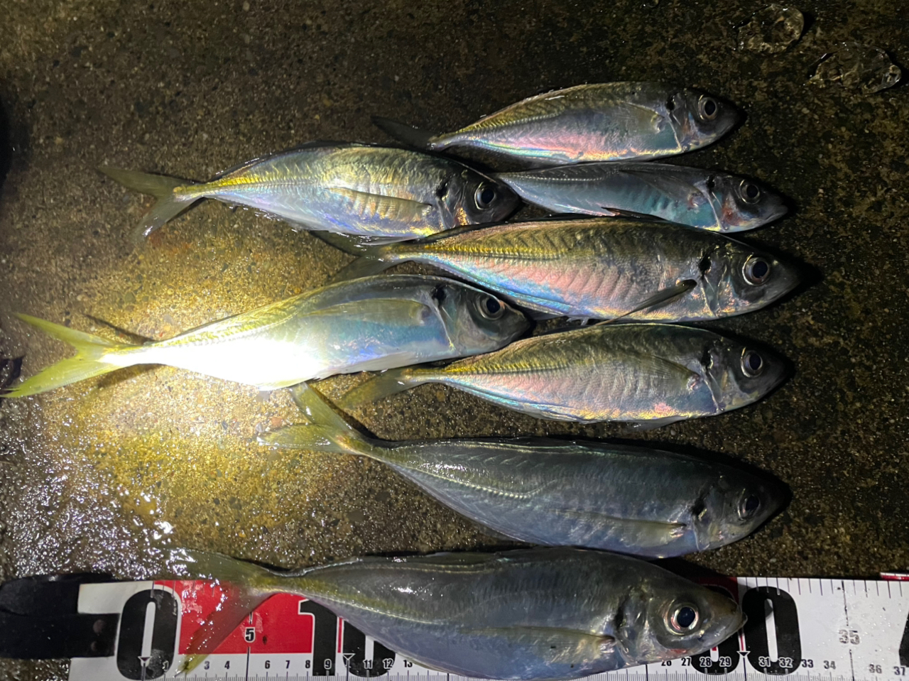 SHIMANO 21アルテグラ C5000XGの最安値・インプレ・釣果 | 本音