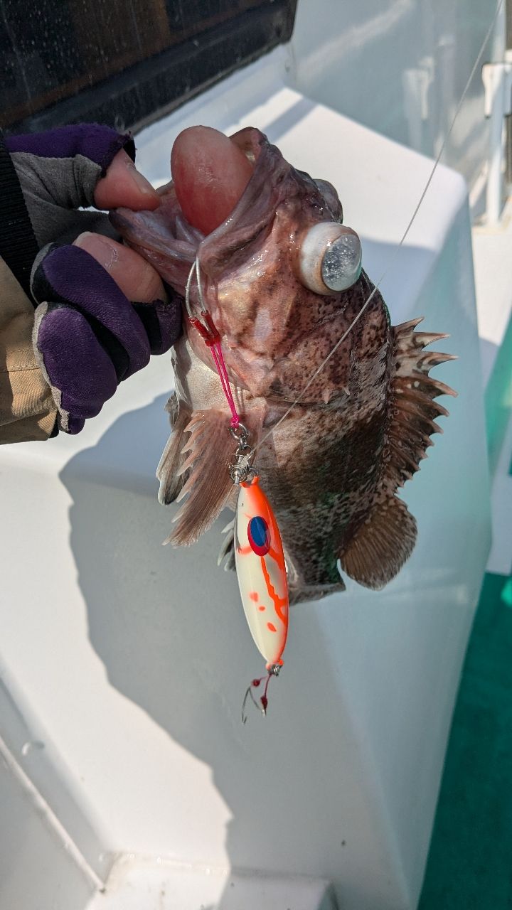 ぱらぱらフィッシュさんの釣果 1枚目の画像