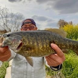 スモールマウスバス