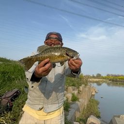 スモールマウスバス