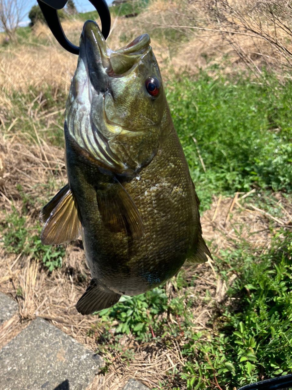 DAIWA 20リベリオン（センターカット2ピース スピニングモデル