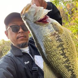 ブラックバス
