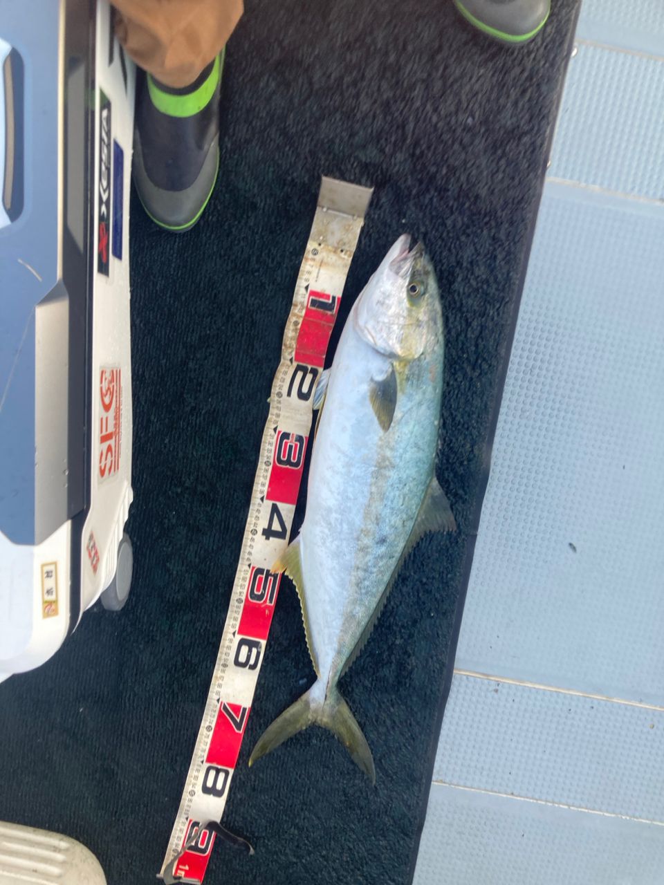 Mackey-jiggingさんの釣果 2枚目の画像