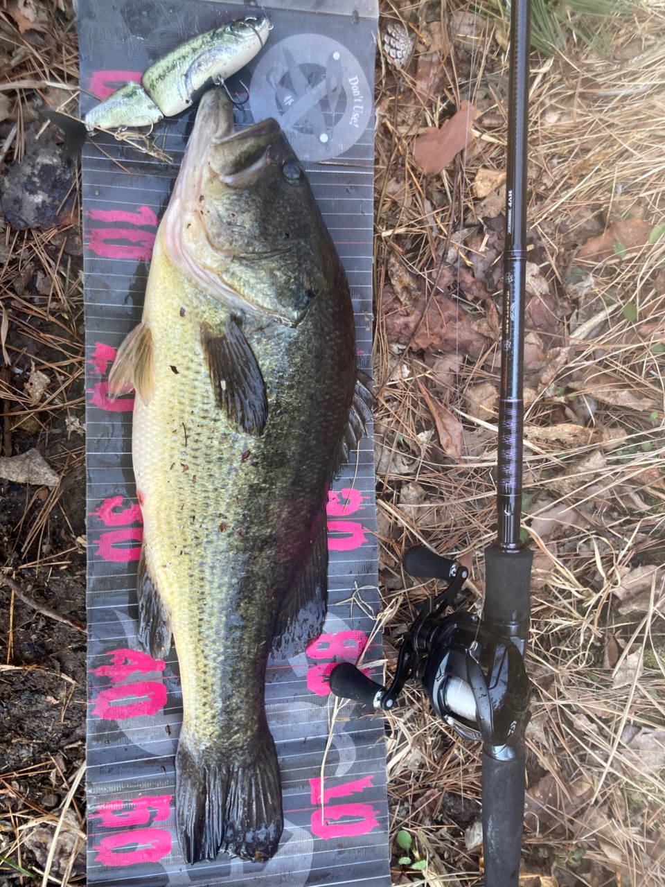 DAIWA 18ハートランド 721HRB-18の最安値・インプレ・釣果