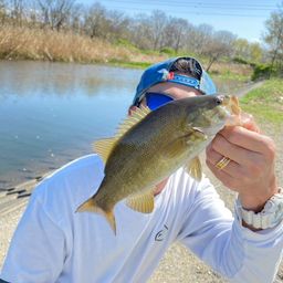 スモールマウスバス