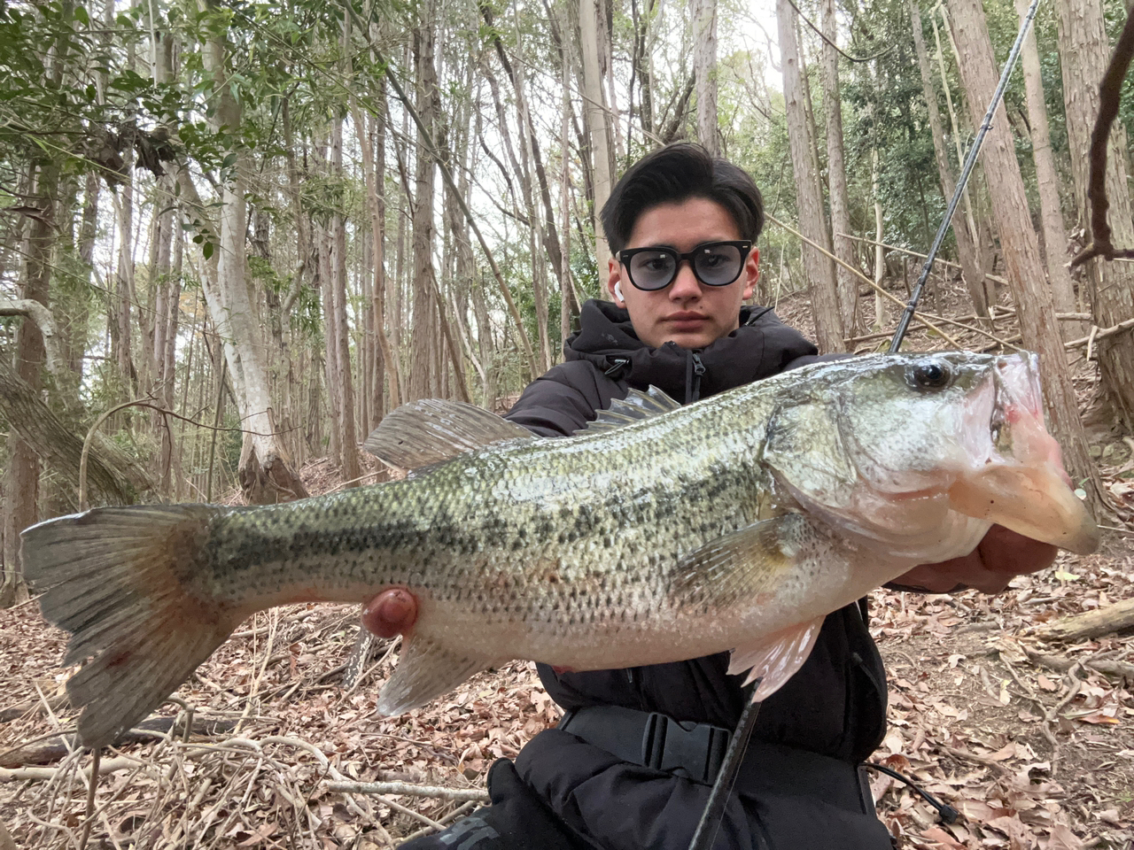 SHIMANO 20ゾディアス 1610MH-2の最安値・インプレ・釣果 | 本音