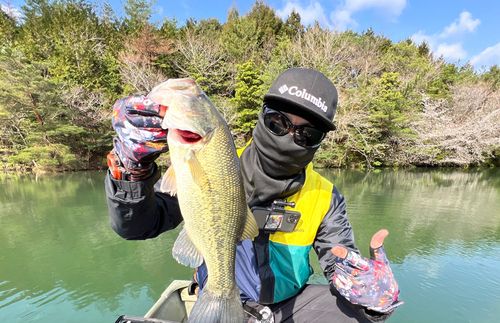 ブラックバスの釣果