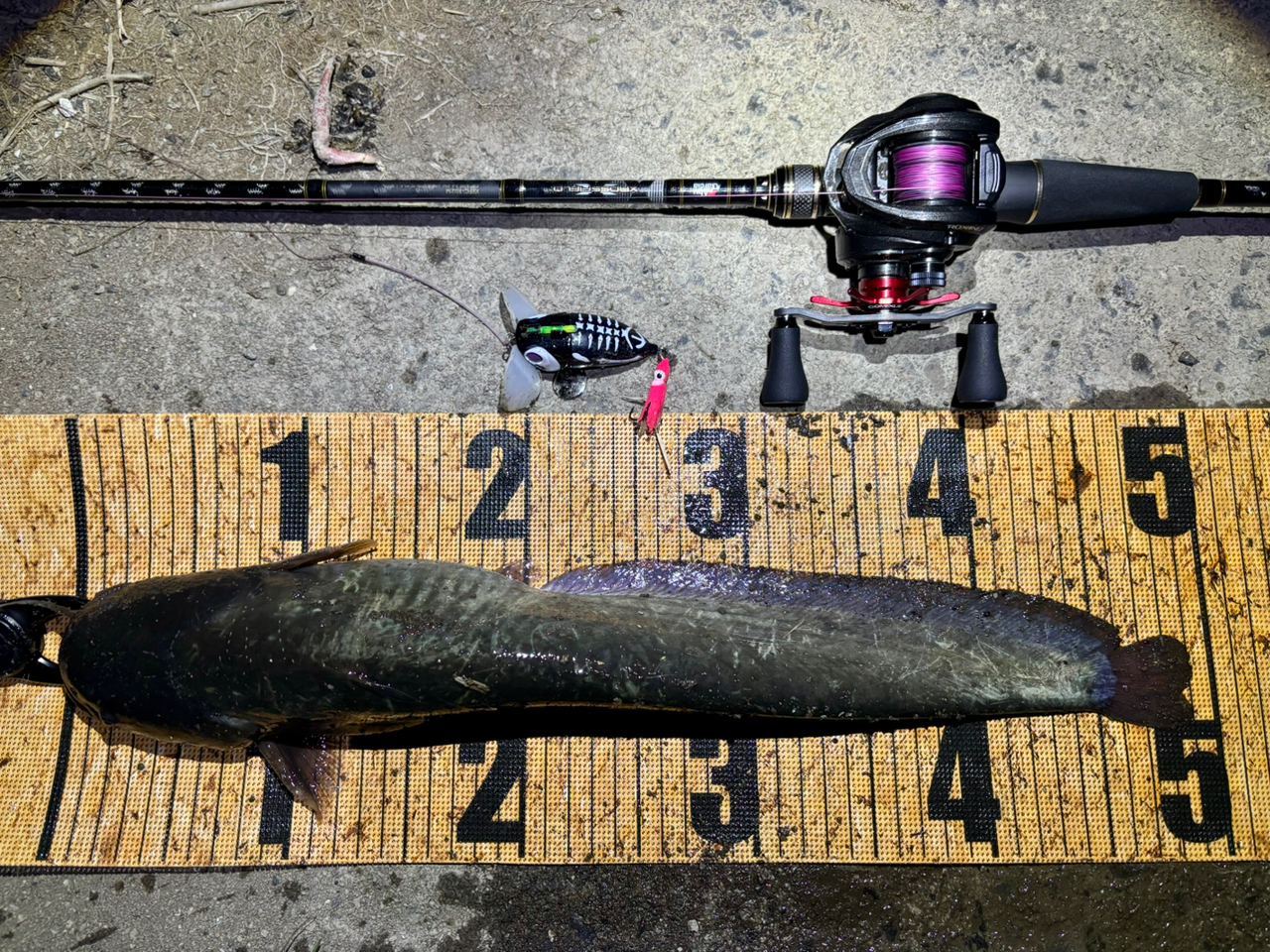 AbuGarcia クロスフィールド XRFC-702Mの最安値・インプレ・釣果
