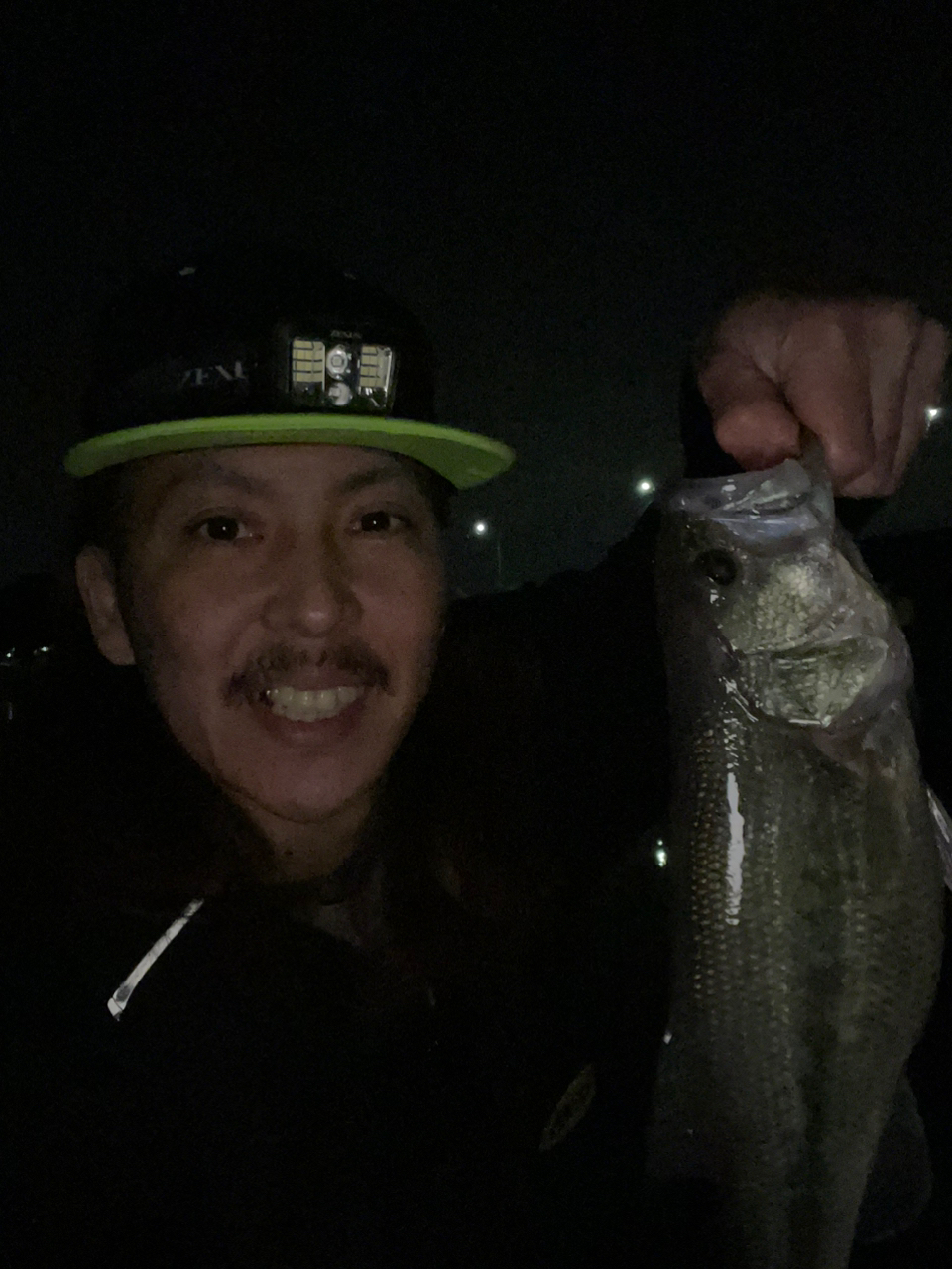 SHIMANO 18ワールドシャウラ 2750FF-2の最安値・インプレ・釣果
