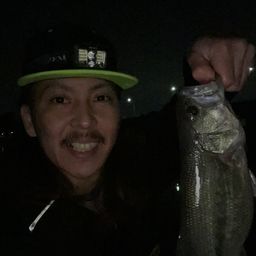 ブラックバス