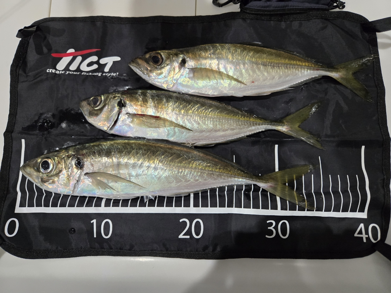 SHIMANO 21ソアレXR S54SUL-Sの最安値・インプレ・釣果 | 本音の