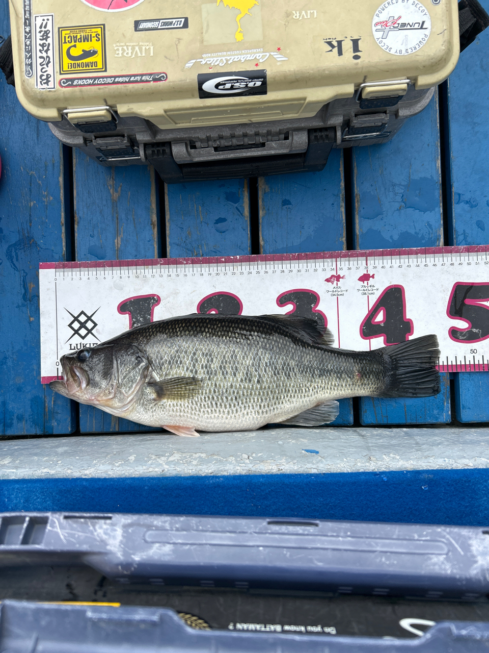 DAIWA 20ルビアス FC LT2000S-XHの最安値・インプレ・釣果 DAIWA 20ルビアス FC LT2000S-XHの最安値・インプレ・釣果