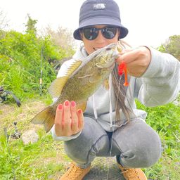 スモールマウスバス