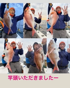 マダイの釣果