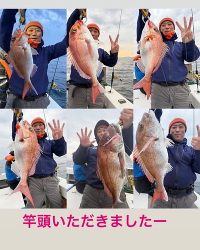 マダイの釣果