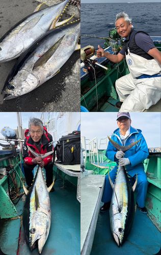 キハダマグロの釣果