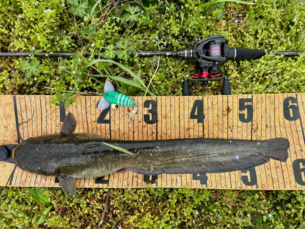 AbuGarcia クロスフィールド XRFC-702Mの最安値・インプレ・釣果