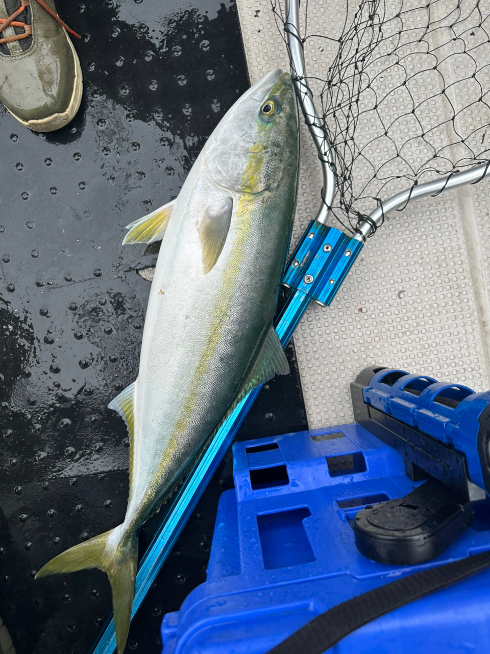 SHIMANO 21ツインパワー SW 8000HGの最安値・インプレ・釣果