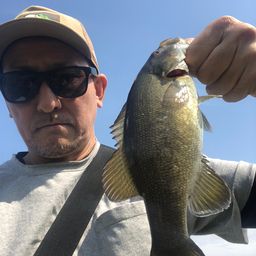 スモールマウスバス