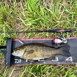 スモールマウスバス