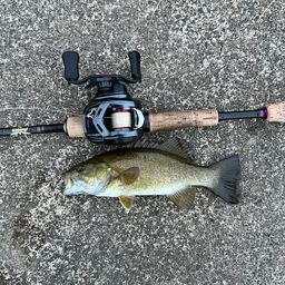 スモールマウスバス