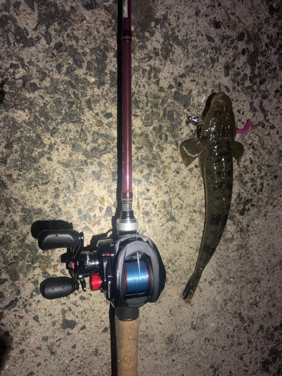 AbuGarcia ズームサファリ ZMSC-665Mの最安値・インプレ・釣果