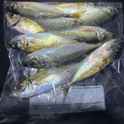 アジ