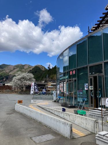 トラウトの釣果