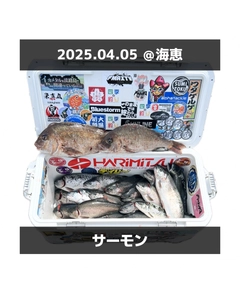 トラウトの釣果