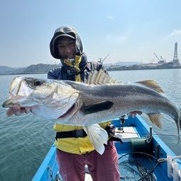 シーバス