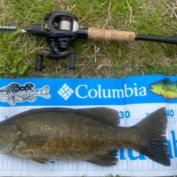 スモールマウスバス