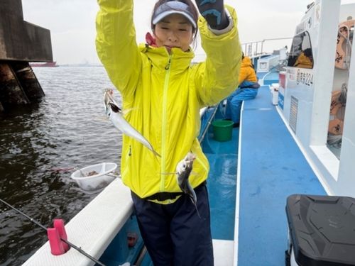 マアジの釣果