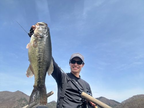 ラージマウスバスの釣果