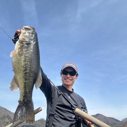 ラージマウスバス