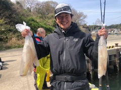 ヤリイカの釣果