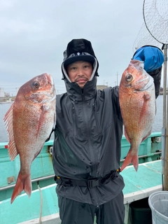 マダイの釣果