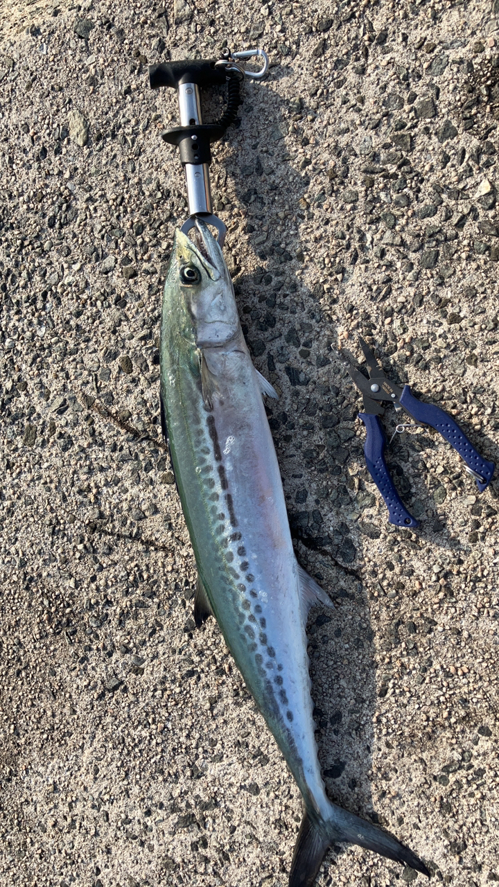AbuGarcia ソルティースタイルショアジギング STJS-1032H-KRの最