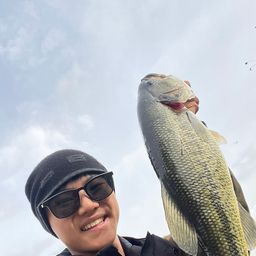 ラージマウスバス