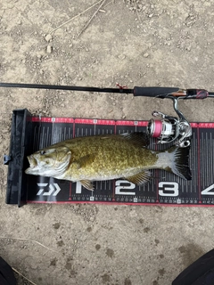 スモールマウスバスの釣果