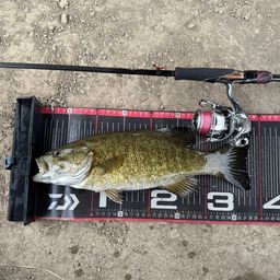 スモールマウスバス