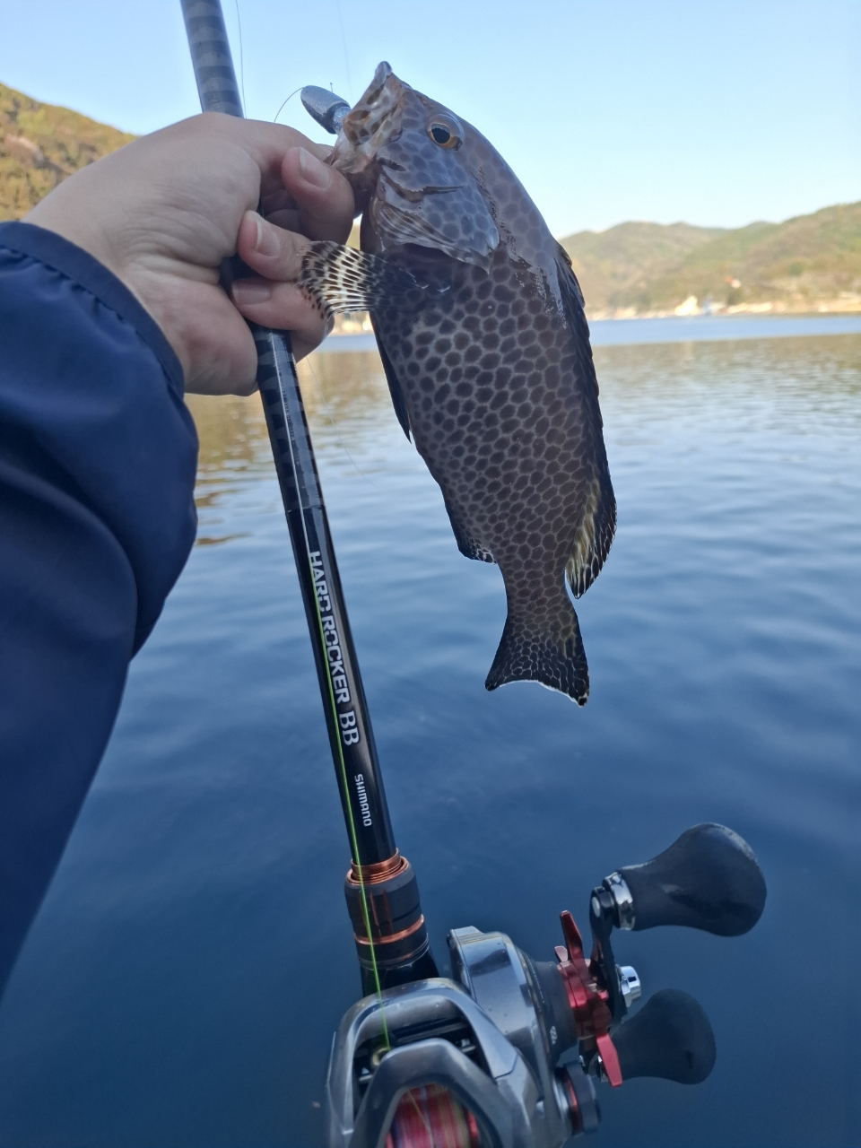 SHIMANO 21スコーピオン MD 300XGLH RIGHTの最安値・インプレ