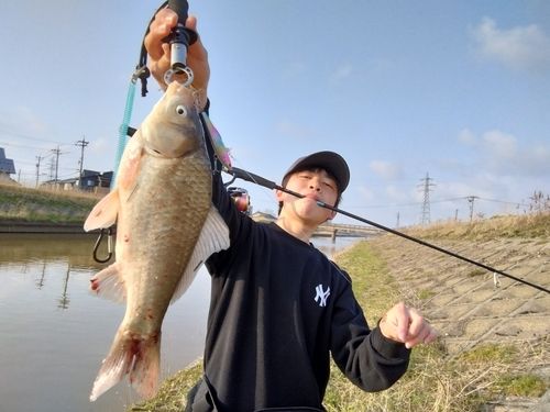 フナの釣果