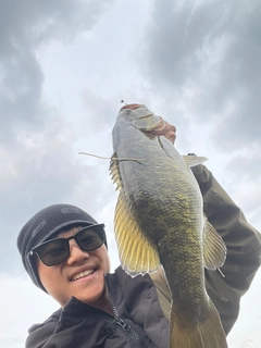 スモールマウスバスの釣果