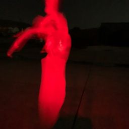 ヤリイカ