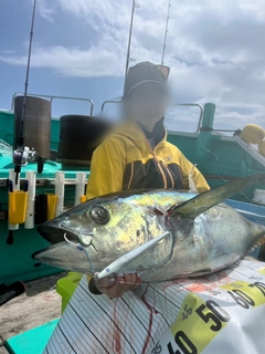 キハダマグロの釣果