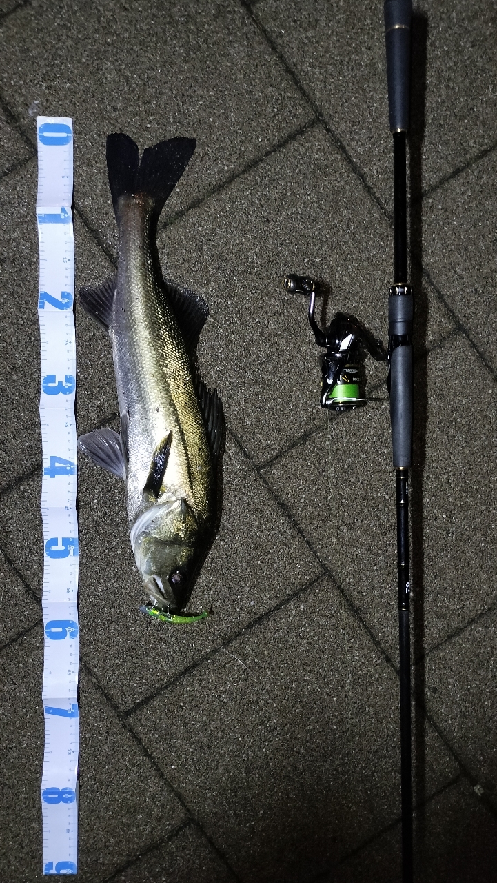 DAIWA 19ラテオ R 90MLの最安値・インプレ・釣果 | 本音の口コミ