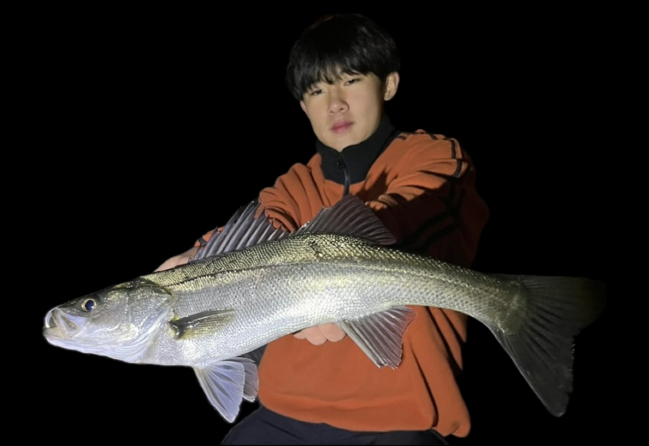 DAIWA 19エメラルダス X 86MLの最安値・インプレ・釣果 | 本音の